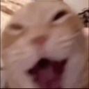 catlaugh